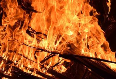 Горевшей мансарде на Лиговском присвоили 2 ранг пожара