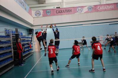 Победителями первенства области по волейболу стали "Динамо" и "Вертикаль"