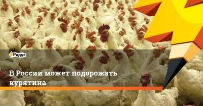 В России может подорожать курятина