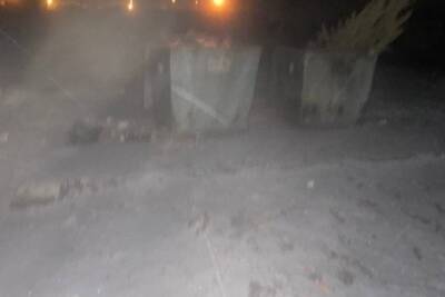 Жительница Домны прислала фото застреленных собак, сброшенных в мусорные баки (18+)