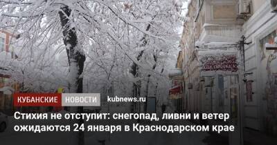 Стихия не отступит: снегопад, ливни и ветер ожидаются 24 января в Краснодарском крае