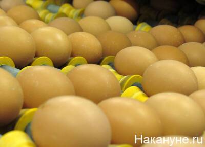 Россиян предупредили о росте цен на яица и мясо бройлеров