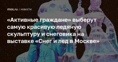 «Активные граждане» выберут самую красивую ледяную скульптуру и снеговика на выставке «Снег и лед в Москве»