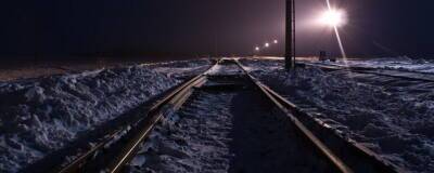 В Алтайском крае грузовой поезд сбил 11-летнюю девочку