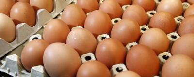 Российским птицефабрикам грозит дефицит инкубационных яиц