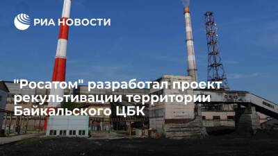 "Росатом" разработал проект приведения территории Байкальского ЦБК в безопасное состояние