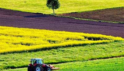 Участниками рынка земли в Украине выступают от 1% до 3% фермеров - специалист