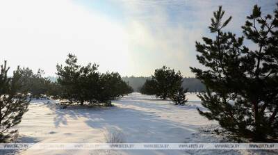 Местами туман и гололед ожидаются в Беларуси 25 января