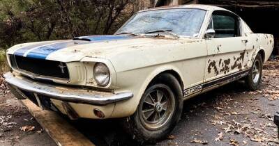 Редчайший 57-летний Ford Mustang нашли в старом гараже: его хотели продать по запчастям (видео)