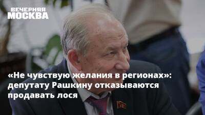 «Не чувствую желания в регионах»: депутату Рашкину отказываются продавать лося