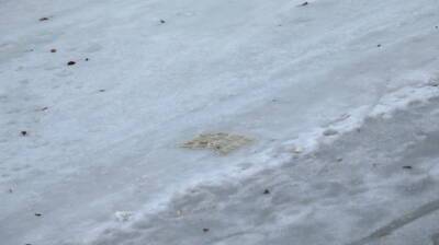 Комблаг впервые с начала зимы обратил внимание на укрытые льдом тротуары