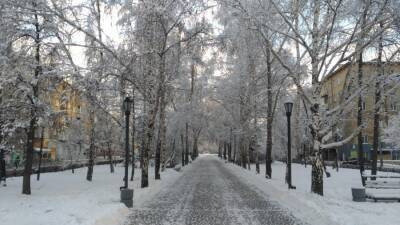 В Новосибирской области на этой неделе ожидаются 23-градусные морозы