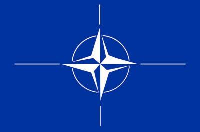 НАТО стягивает дополнительные силы в Восточную Европу