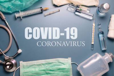 В Новгородской области COVID-19 диагностировали еще у 270 человек