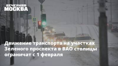 Движение транспорта на участках Зеленого проспекта в ВАО столицы ограничат с 1 февраля - vm - Москва - Москва