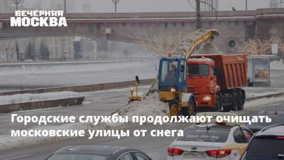 Городские службы продолжают очищать московские улицы от снега