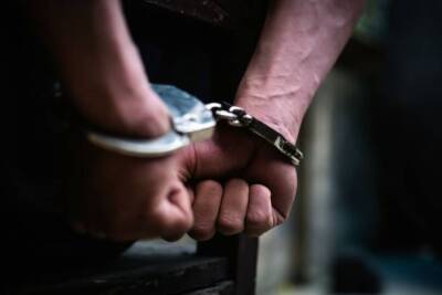 Кямран Алиев - Константин Шапиро - В Азербайджан экстрадированы 32 человека, скрывавшихся за границей - генпрокурор - trend.az - Россия - Украина - Казахстан - Узбекистан - Грузия - Белоруссия - Турция - Азербайджан