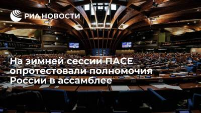 На зимней сессии ПАСЕ депутаты от Украины и Литвы опротестовали полномочия России