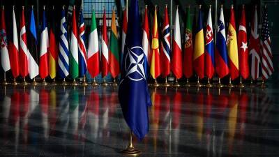 Глава МИД ФРГ призвала «не смешивать территорию НАТО с Украиной»