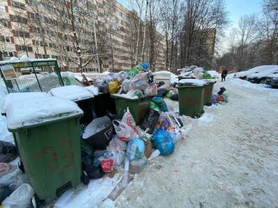 В Петербурге «криминальные структуры» усугубляют мусорный вопрос