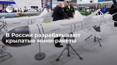 Гендиректор КТРВ Обносов: в России разрабатывают мини-ракеты для различных носителей