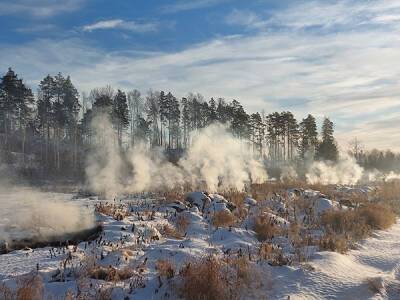 Причина? Зима. На Среднем Урале не будут тушить торфяные пожары до наступления плюсовых температур