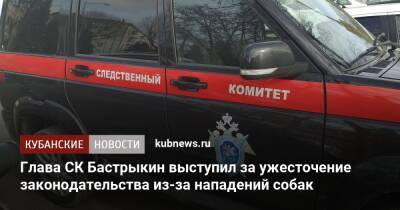 Глава СК Бастрыкин выступил за ужесточение законодательства из-за нападений собак