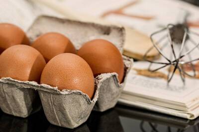 Почему России не грозит дефицит мяса птицы и яиц