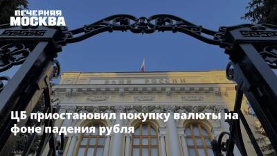 ЦБ приостановил покупку валюты на фоне падения рубля