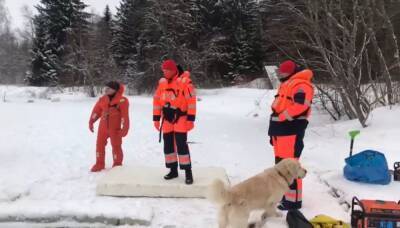 Опубликовано видео с места поисков утонувшей в проруби петербурженки