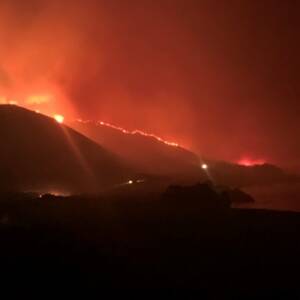 В США начались масштабные лесные пожары: проводится эвакуация. Фото