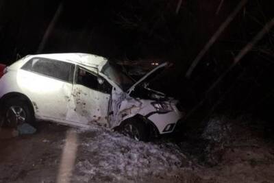 В Павловском районе водитель иномарки влетел в дерево и погиб