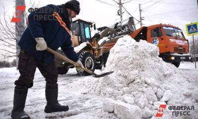 Власти Петербурга отчитались об «ударной» уборке города от снега