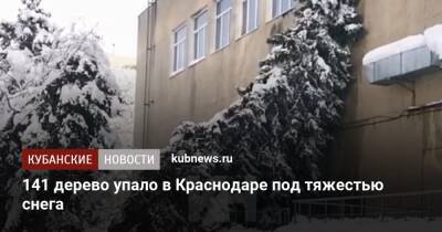 141 дерево упало в Краснодаре под тяжестью снега