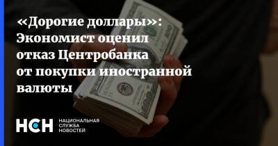 Олег Шибанов - «Дорогие доллары»: Экономист оценил отказ Центробанка от покупки иностранной валюты - nsn - Россия - Сколково