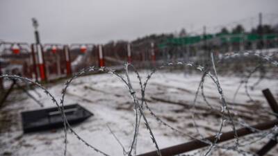 Польша 25 января начнёт возведение забора на границе с Белоруссией