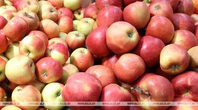 В Беларуси вводятся предельные максимальные отпускные и розничные цены на овощи и яблоки