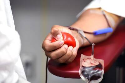 В Воронежской области за прошлый год сдали кровь более 17 тысяч доноров