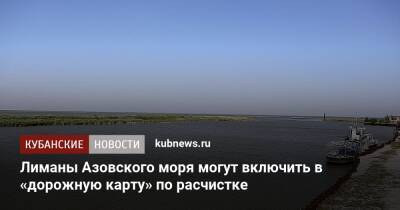 Лиманы Азовского моря могут включить в «дорожную карту» по расчистке