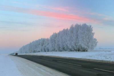 Вильфанд анонсировал аномально теплую погоду в Сибири