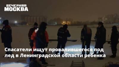 Спасатели ищут провалившегося под лед в Ленинградской области ребенка
