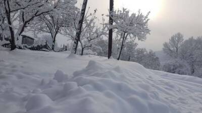 Украину засыплет снегом по колено: из Беларуси мчит циклон