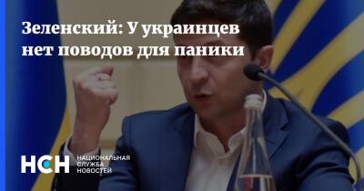 Зеленский: У украинцев нет поводов для паники