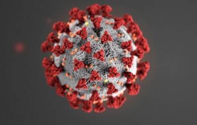 В ВОЗ допустили появление новых штаммов коронавируса