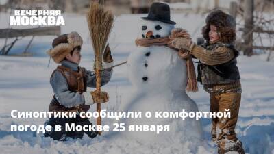 Синоптики сообщили о комфортной погоде в Москве 25 января