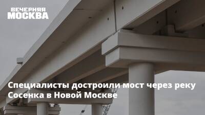 Специалисты достроили мост через реку Сосенка в Новой Москве