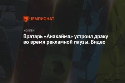 Вратарь «Анахайма» устроил драку во время рекламной паузы. Видео