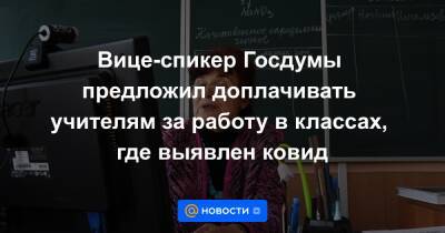 Вице-спикер Госдумы предложил доплачивать учителям за работу в классах, где выявлен ковид