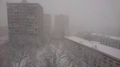 Синоптик предупредил о снегопаде в Москве в ночь на среду