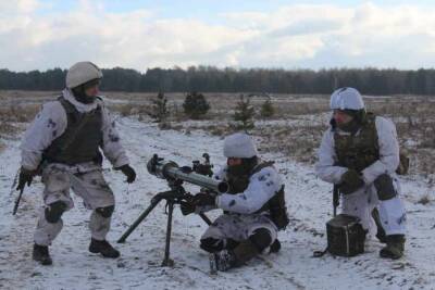 Украина будет использовать боевиков «Правого сектора»* в Донбассе